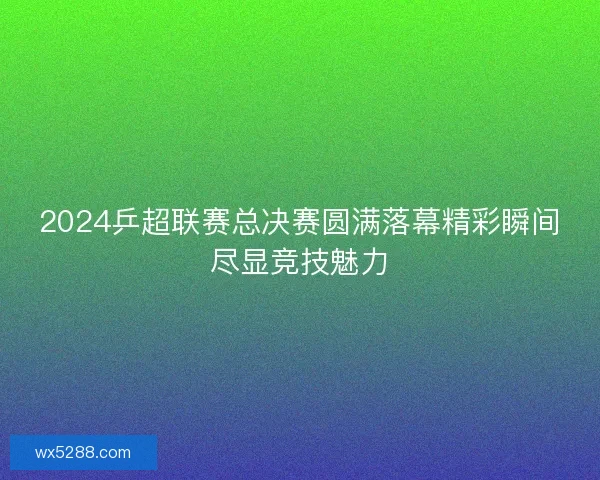 2024乒超联赛总决赛圆满落幕精彩瞬间尽显竞技魅力