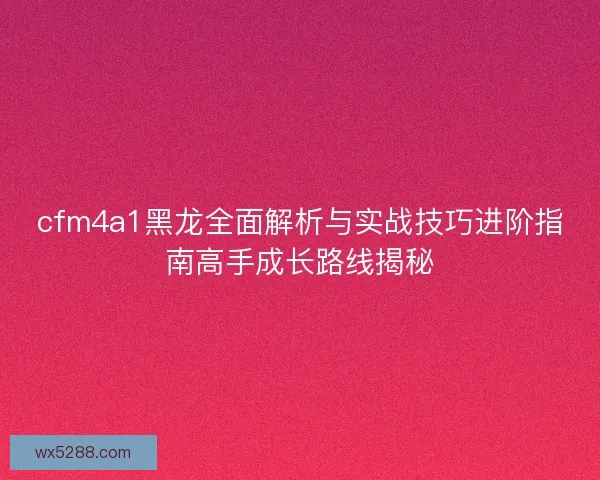 cfm4a1黑龙全面解析与实战技巧进阶指南高手成长路线揭秘